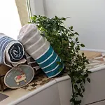 Elena أوباتيا